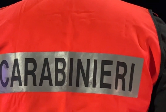 immagine articolo