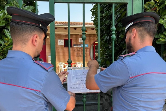 immagine articolo