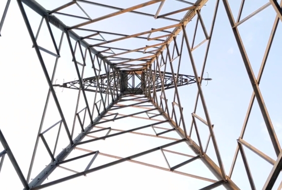 immagine articolo
