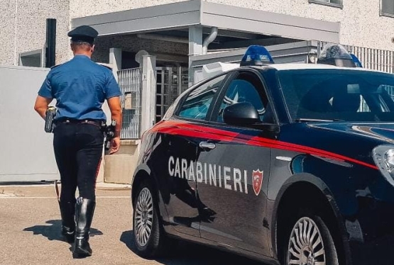 immagine articolo