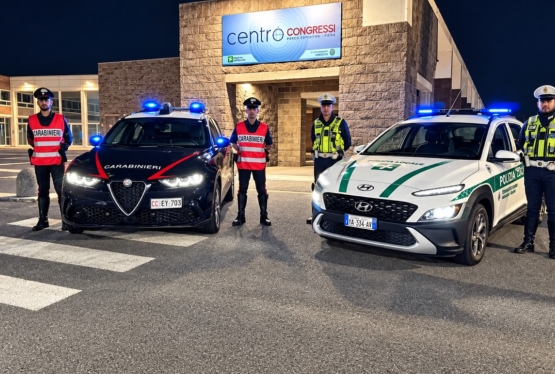 immagine articolo