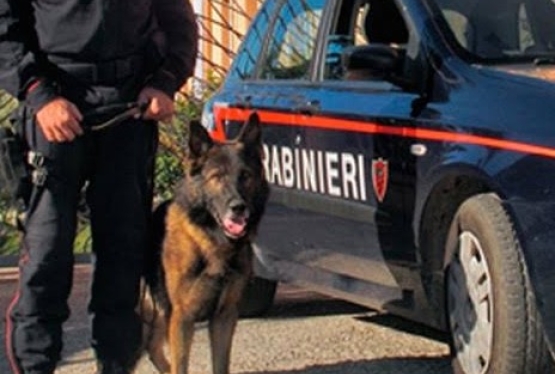 immagine articolo