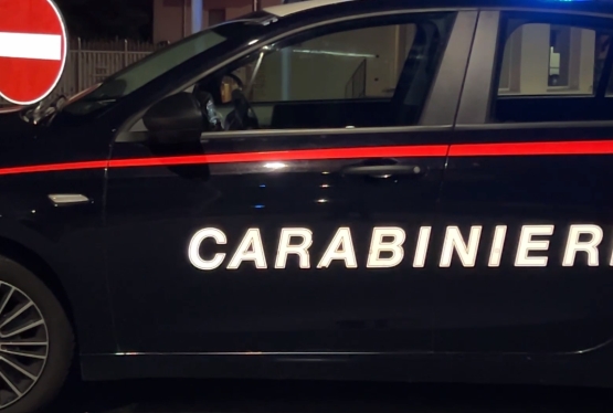 immagine articolo
