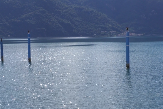immagine articolo