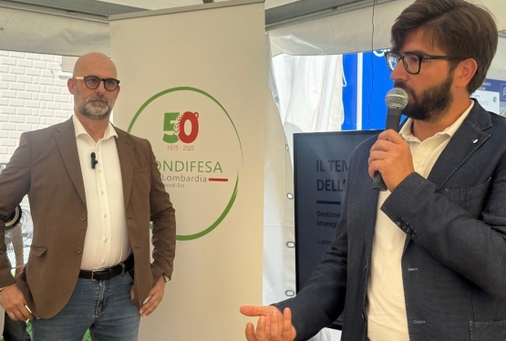 immagine articolo