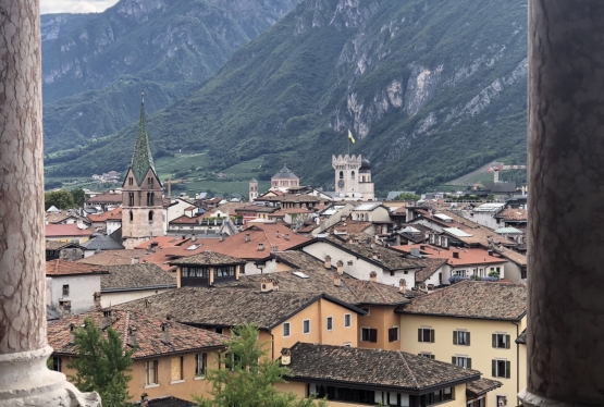immagine articolo