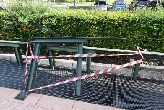 immagine articolo