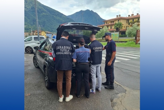 immagine articolo