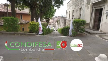 program image