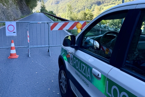 immagine articolo